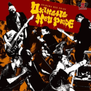 ・v/a - OKINAWA NEO PRIDE（2025）