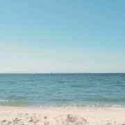 はらっぱの番組で紹介した音源の情報